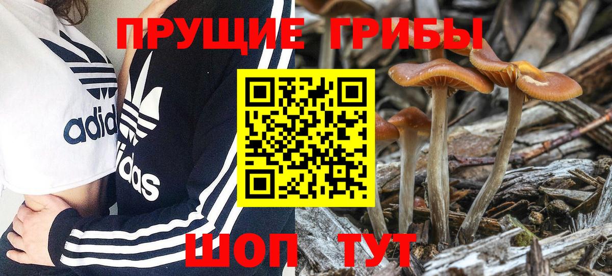 Галлюциногенные грибы GOLDEN TEACHER  Вход с VPN  Реж 