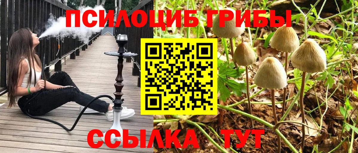 Псилоцибиновые грибы Psilocybine cubensis Реж